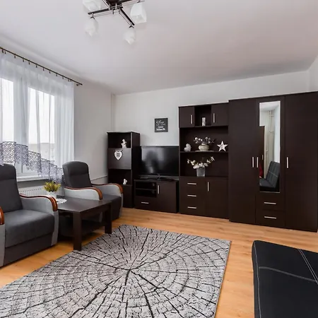 Brzezno Standard Apartment